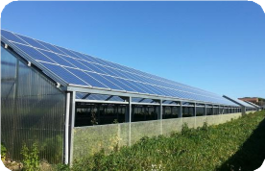 pv system on greenhouse 1